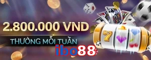 ibo88