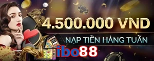 ibo88