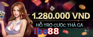 ibo88
