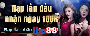 ibo88