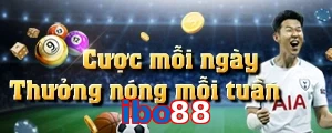 ibo88